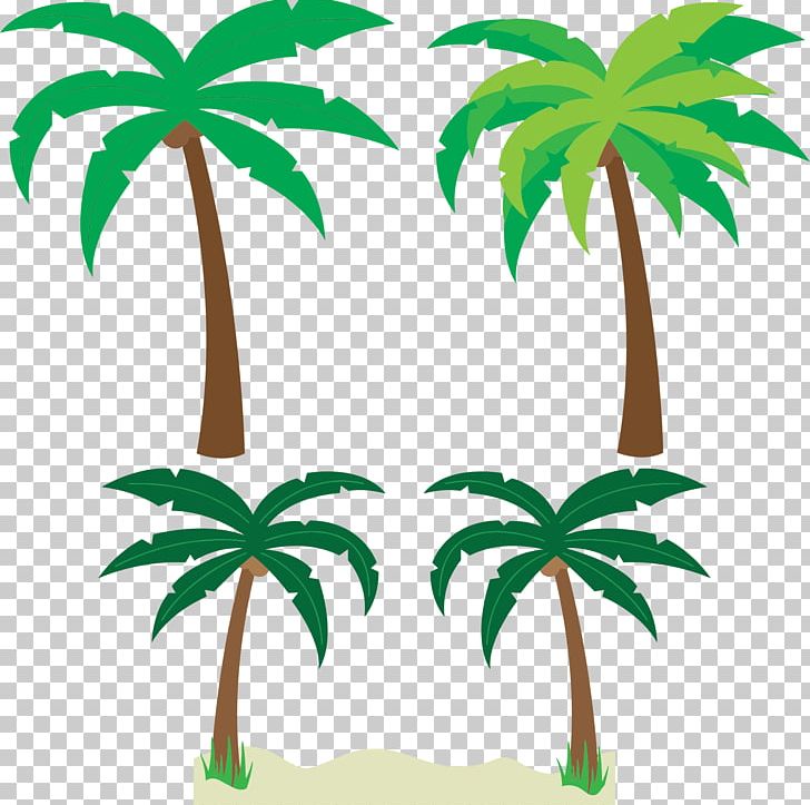 Arecaceae Tree Animation PNG, Clipart, Animation, Arecaceae, Arecales, Branch, Cartoon Free PNG Download