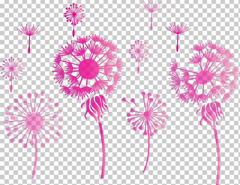 Dandelion PNG, Clipart, Chrysanthemum, Dandelion, Floral Design, Line, Meter Free PNG Download