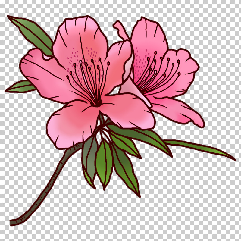 Floral Design PNG, Clipart, Biology, Cut Flowers, Family, Floral Design, Flower Free PNG Download