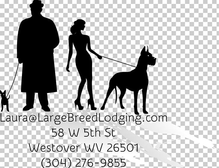 Dog Breed Great Dane Horse Obedience Training Leash PNG, Clipart, Black, Black And White, Black M, Carnivoran, Dog Free PNG Download