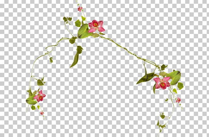 Liana Encapsulated PostScript PNG, Clipart, Blom, Blossom, Branch, Clip Art, Cut Flowers Free PNG Download