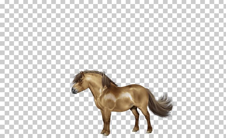 Mane Mustang Stallion Pony Mare PNG, Clipart, Animal Figure, Halter, Horse, Horse Like Mammal, Horse Supplies Free PNG Download