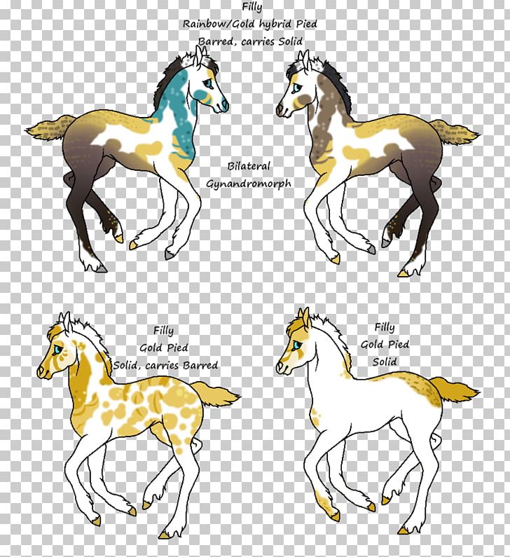 Mustang Foal Stallion Halter Mane PNG, Clipart,  Free PNG Download