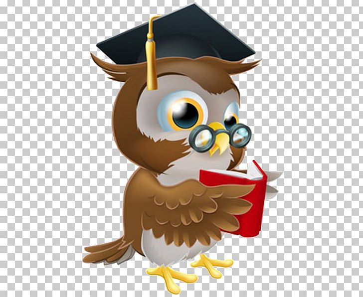 Owl Diploma Professional Certification Academic Degree PNG, Clipart, Academic Certificate, Academic Degree, Animals, Beak, Bird Free PNG Download