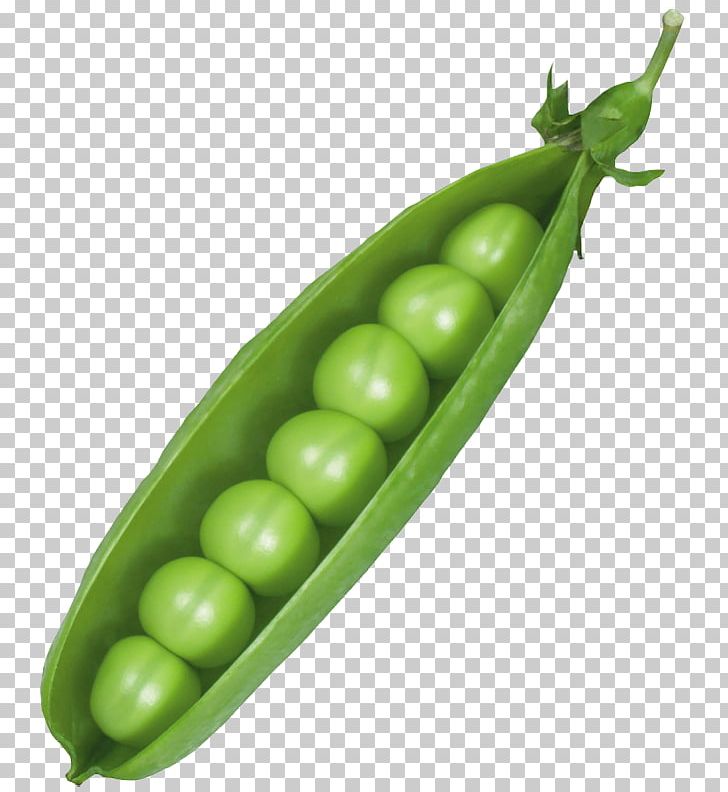 Pea PNG, Clipart, Broad Bean, Cabbage, Carrot, Cauliflower, Clip Art Free PNG Download