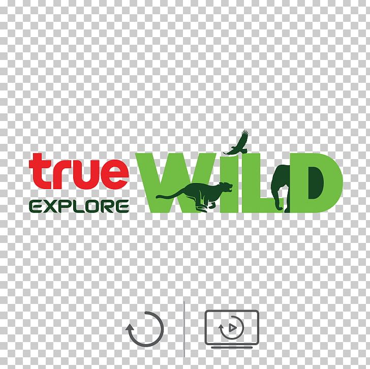 True Corporation ทรูไทยฟิล์ม Television Channel TrueVisions PNG, Clipart, Area, Brand, Digital Television, Film, Grass Free PNG Download