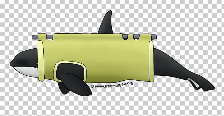 Loro Parque Killer Whale Free Morgan Foundation Marine Mammal PNG, Clipart, 29 November, Automotive Design, Clothing Accessories, Fashion Accessory, Free Morgan Foundation Free PNG Download