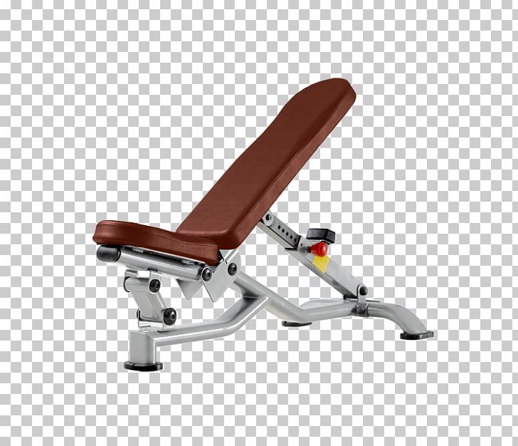 Bench Panca Scott Weightlifting Machine Dumbbell Physical Fitness PNG, Clipart, Bench, Dumbbell, Exercise, Exercise Equipment, Exercise Machine Free PNG Download