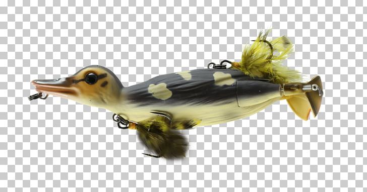 Northern Pike Fishing Baits & Lures Topwater Fishing Lure Muskellunge PNG, Clipart, Angling, Animals, Bait, Duck, Ducks Geese And Swans Free PNG Download