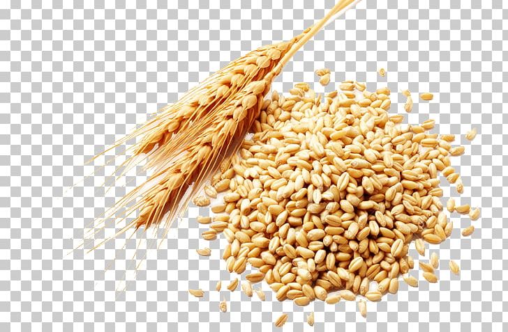 Wheat Berry Cereal Spelt PNG, Clipart, Avena, Bran, Cereal, Cereal Germ, Coarse Cereals Free PNG Download