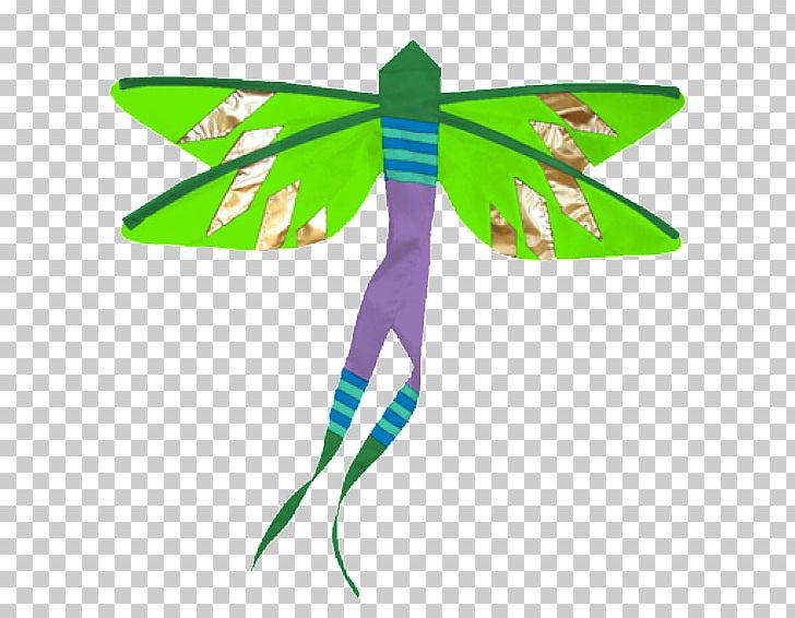 Insect Dragonfly Damselfly Butterfly Animal PNG, Clipart, Animal, Animals, Butterflies And Moths, Butterfly, Character Free PNG Download