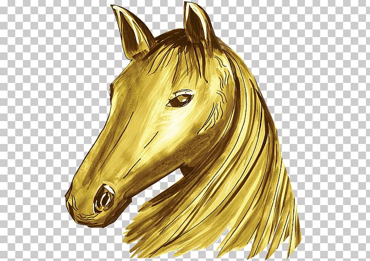 Mustang Mane Pony Halter 01504 PNG, Clipart, 01504, Brass, Halter, Head, Horse Free PNG Download