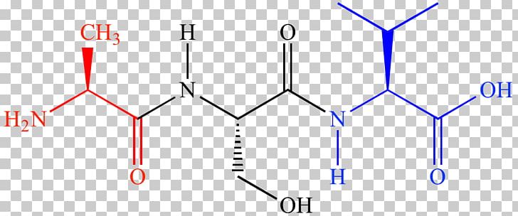 Tetrapeptide Dipeptide Chemistry Amino Acid PNG, Clipart, Amino Acid, Angle, Area, Blue, Chemical Bond Free PNG Download