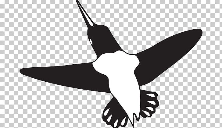 Beak Hummingbird Wing PNG, Clipart, Algorithm, Animal, Beak, Bird, Black And White Free PNG Download