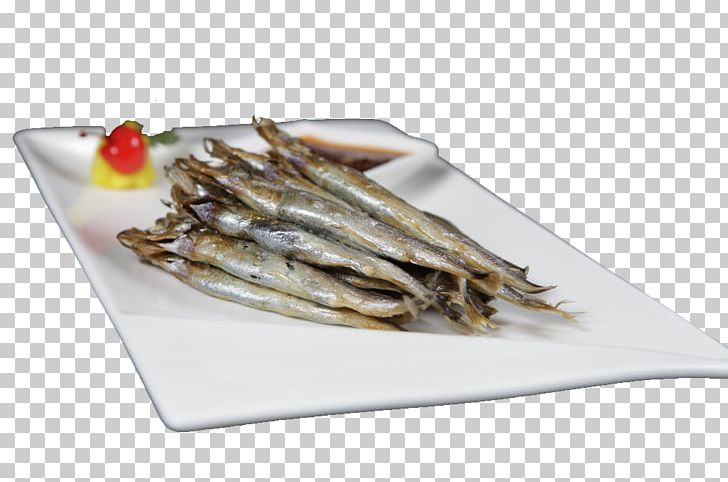 Capelin U591au81a5u9b5a Fish Food PNG, Clipart, Anchovy, Anchovy Food, Animal Source Foods, Capelin, Dining Free PNG Download