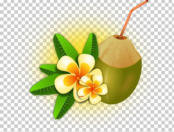 Cocktail Tropics Coconut Water PNG, Clipart, Arecaceae, Clip Art, Cocktail, Coconut Water, Computer Icons Free PNG Download