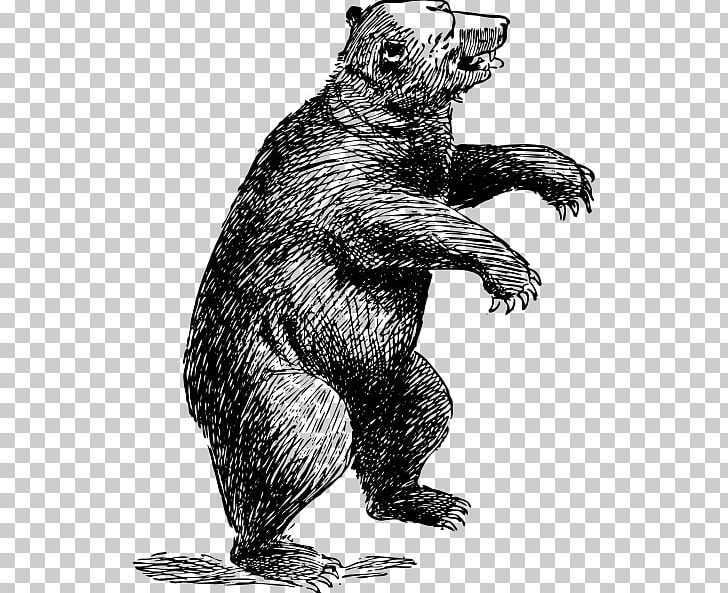 Grizzly Bear American Black Bear Polar Bear Yogi Bear PNG, Clipart, Alaska Peninsula Brown Bear, American Black Bear, Animal, Art, Bear Free PNG Download
