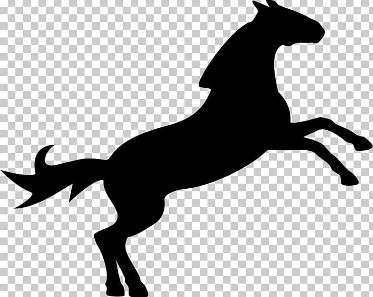 Horse Computer Icons PNG, Clipart, Animals, Black, Carnivoran, Computer Icons, Desktop Wallpaper Free PNG Download
