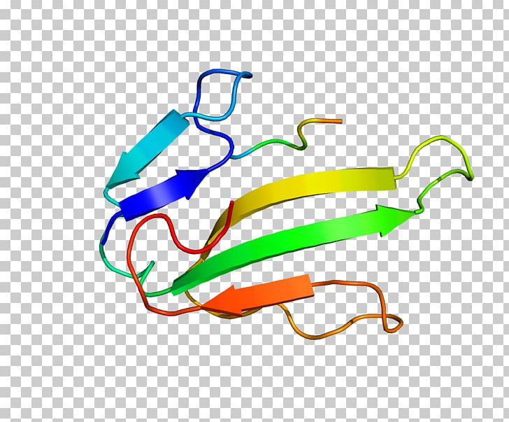 Nicotinic Acetylcholine Receptor CHRNA1 Protein Subunit PNG, Clipart, Acetylcholine, Acetylcholine Receptor, Area, Artwork, Cholinergic Free PNG Download