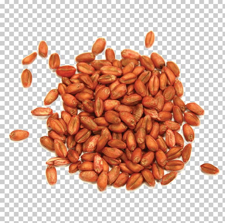 Peanut Commodity PNG, Clipart, Commodity, Ingredient, Nut, Nuts Seeds, Peanut Free PNG Download