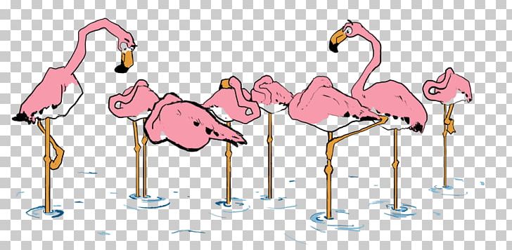 Pink M Beak Design M PNG, Clipart, Animal, Animal Figure, Art, Art Design, Beak Free PNG Download