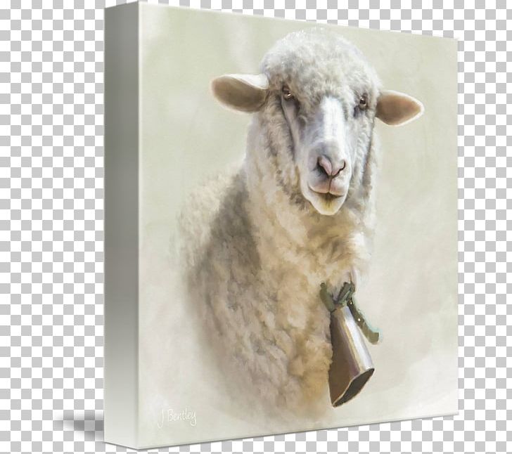 Sheep Gallery Wrap Canvas Art Printing PNG, Clipart, Animals, Art, Canvas, Cow Goat Family, Gallery Wrap Free PNG Download
