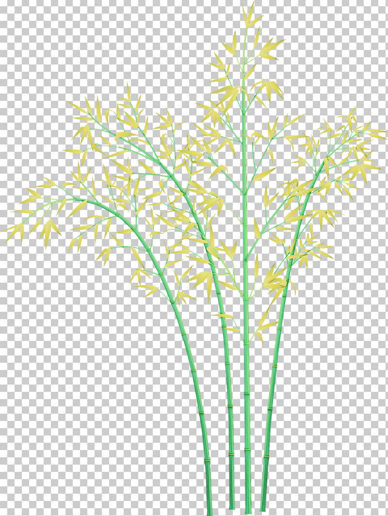 Grass Plant Plant Stem Grass Family Leaf PNG, Clipart, Aquarium Decor, Bamboo, Flower, Grass, Grass Family Free PNG Download