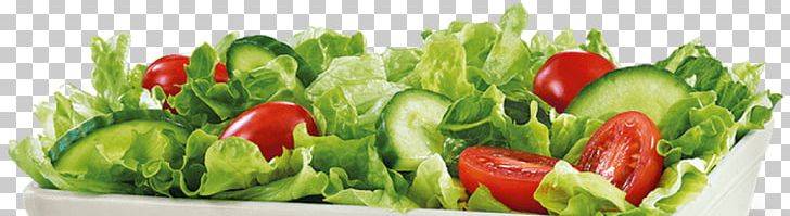 Caesar Salad Stuffing Vinaigrette Salad Spinner PNG, Clipart, Bell Peppers And Chili Peppers, Caesar Salad, Cooking, Cut Flowers, Floristry Free PNG Download