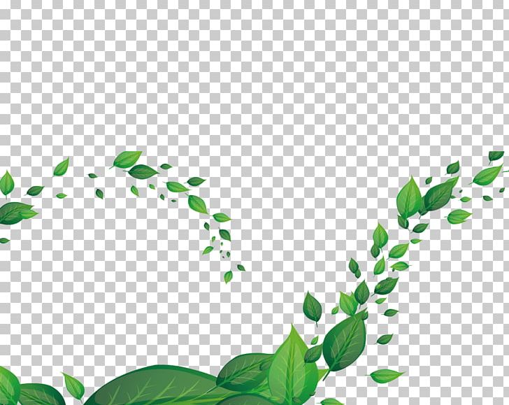 CLABER SpA Business PNG, Clipart, Banana Leaves, Branch, Company, Computer Wallpaper, Fall Leaves Free PNG Download
