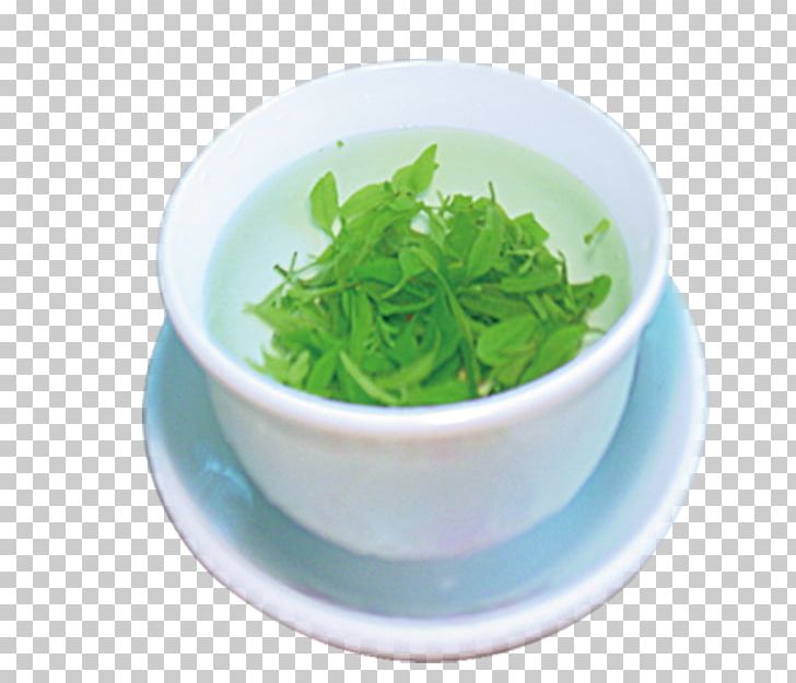 Green Tea Teapot Teacup PNG, Clipart, Black Tea, Camellia Sinensis, Chemical Element, Cup, Decorative Elements Free PNG Download