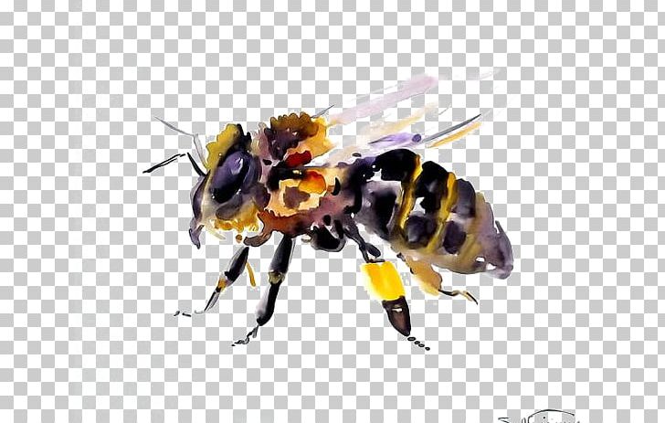 Honey Bee Hornet Insect Bumblebee PNG, Clipart, Animal, Art, Arthropod, Bee, Bee Hive Free PNG Download