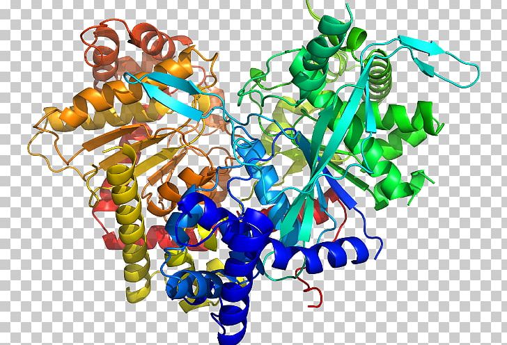 Ligand Docking Thermodynamic Free Energy PNG, Clipart, Art, Docking, Education, Energy, Food Free PNG Download