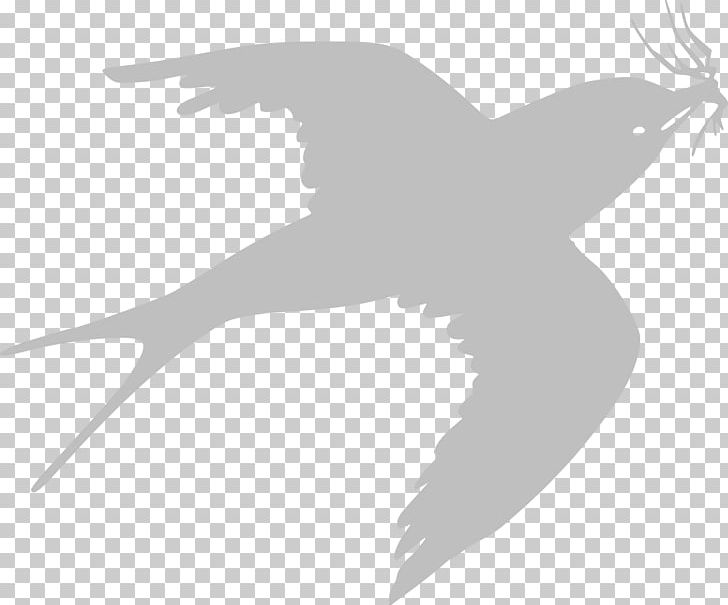 Sparrow PNG, Clipart, Animals, Art, Beak, Bird, Black And White Free PNG Download