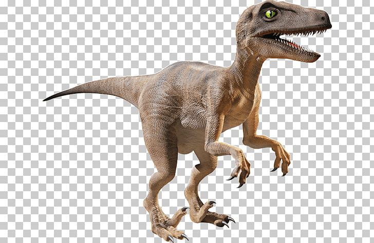 Velociraptor Triceratops Dinosaur IMG Worlds Of Adventure PNG, Clipart, Canvas, Cartoon, Cartoon Dinosaur, Dinosaur, Extinction Free PNG Download