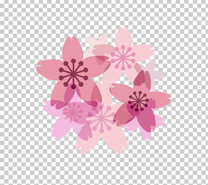 Cherry Blossom Petal PNG, Clipart, Adobe Illustrator, Blossom, Blossoms, Cherry, Cherry Blossoms Free PNG Download