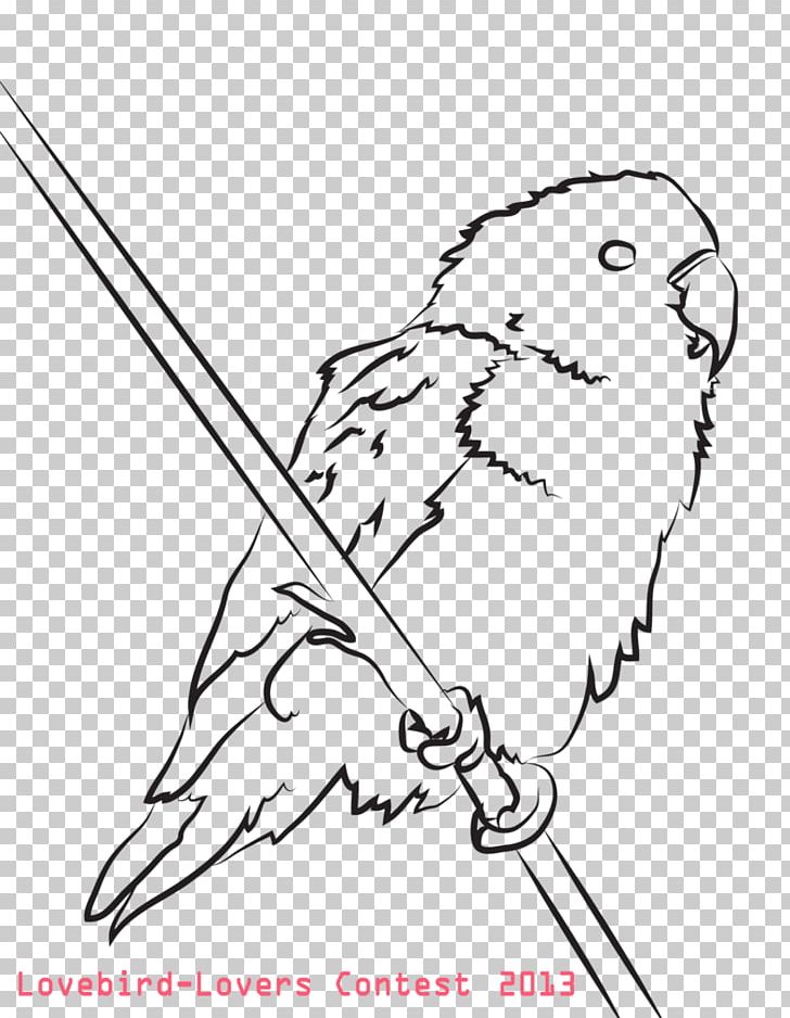 Coloring Book Drawing Beak Child Adult PNG, Clipart, Adult, Angle, Area, Art, Artwork Free PNG Download