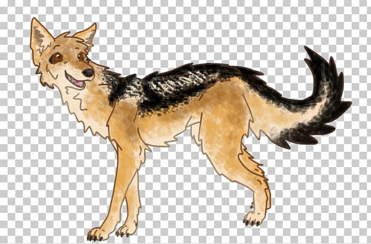 Dog Breed Red Fox Coyote Jackal PNG, Clipart, Animals, Breed, Carnivoran, Character, Coyote Free PNG Download