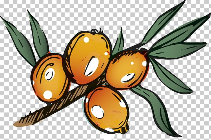 Insect Pollinator Cartoon Character PNG, Clipart, Animals, Artwork, Cartoon, Character, Fiction Free PNG Download
