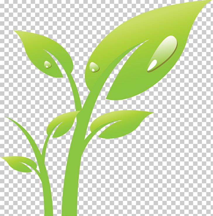 Tree PNG, Clipart, Branch, Commodity, Drawing, Encapsulated Postscript, Flora Free PNG Download