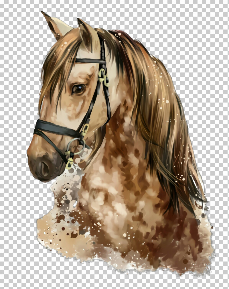 Horse Hair Mane Stallion Bridle PNG, Clipart, Animal Figure, Bridle, Brown, Drawing, Hair Free PNG Download