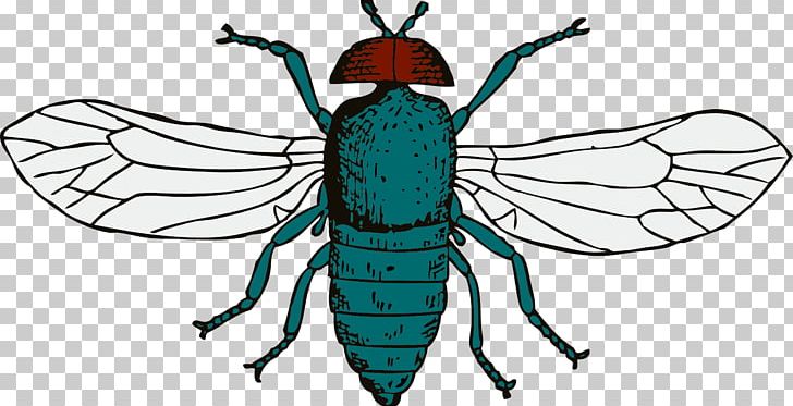 Blue Bottle Fly PNG, Clipart, Amor, Animals, Arthropod, Artwork, Blow Flies Free PNG Download