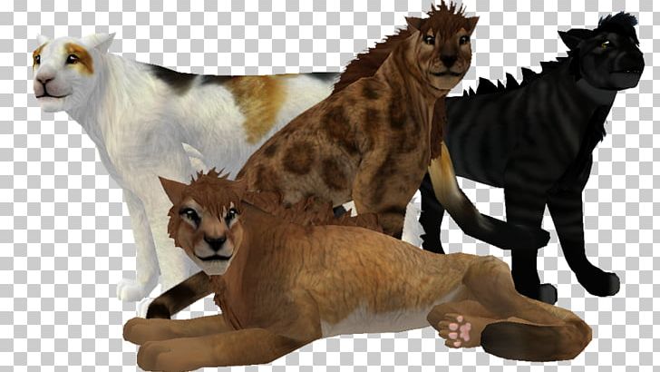 Cat Mammal Terrestrial Animal Carnivora PNG, Clipart, Animal, Animals, Big Cat, Big Cats, Carnivora Free PNG Download