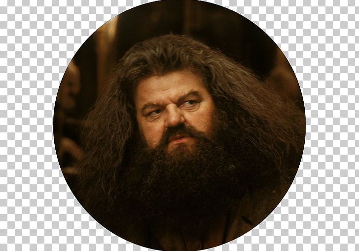 Robbie Coltrane Harry Potter And The Philosopher's Stone Rubeus Hagrid Hermione Granger PNG, Clipart, Hermione Granger, Robbie Coltrane, Rubeus Hagrid Free PNG Download
