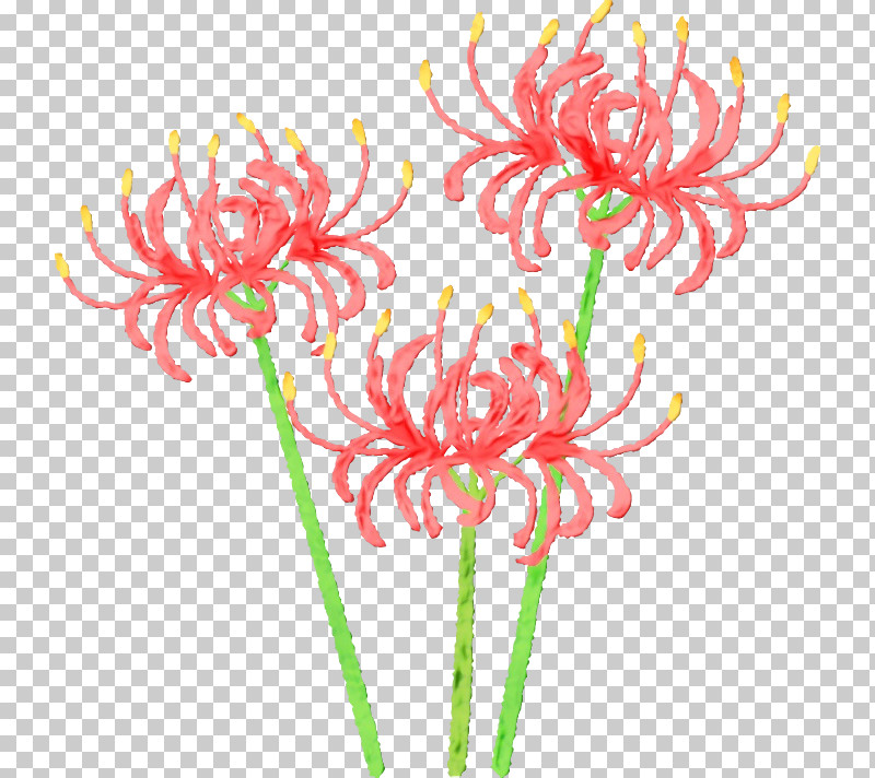 Flower Cut Flowers Plant Pink Pedicel PNG, Clipart, Cut Flowers, Flower, Paint, Pedicel, Pink Free PNG Download