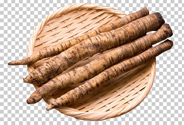 Greater Burdock Root Seed Food Vegetable PNG, Clipart, Beetroot, Bowl, Burdock, Burdock Root, Calcium Free PNG Download