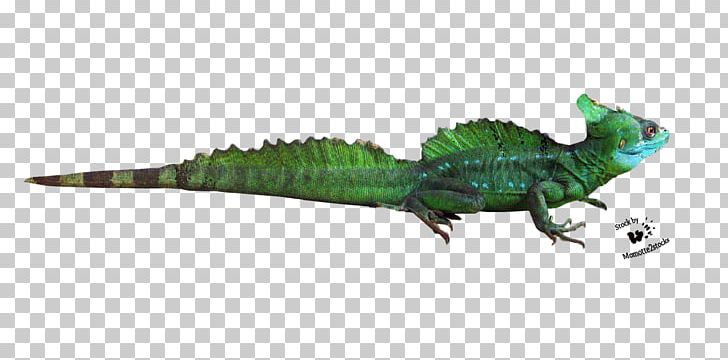 Common Iguanas Lizard Crocodiles Animal Fauna PNG, Clipart, Animal, Animal Figure, Animals, Bearded Dragon, Common Iguanas Free PNG Download