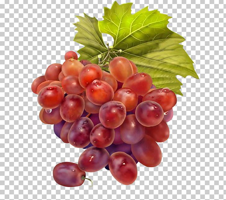 Grape Fruit Drawing Decoupage PNG