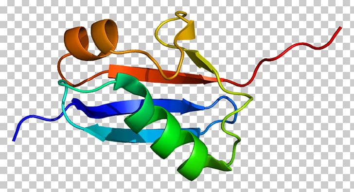 SUMO Protein SUMO2 Small Ubiquitin-related Modifier 1 SUMO3 Structure PNG, Clipart, Area, Body Jewelry, Cell, Chemical Structure, Crystallography Free PNG Download