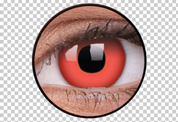 Contact Lenses Eye Color Costume PNG, Clipart, Base Curve Radius, Blue, Closeup, Color, Contact Lense Free PNG Download