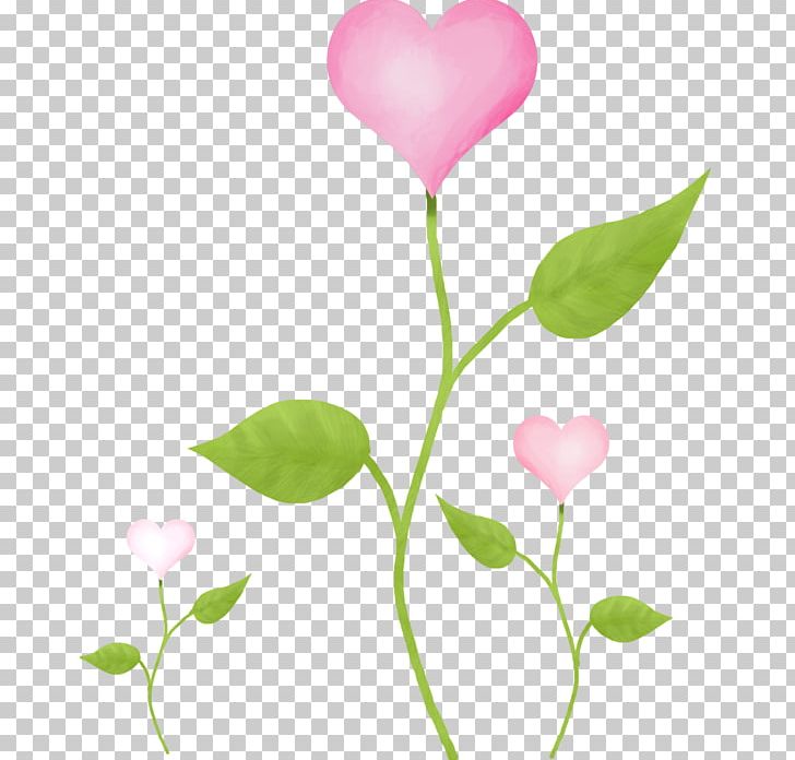 Pink PNG, Clipart, Branch, Cut Flowers, Flora, Floral Design, Flores Free PNG Download